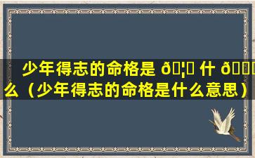 少年得志的命格是 🦋 什 🐅 么（少年得志的命格是什么意思）